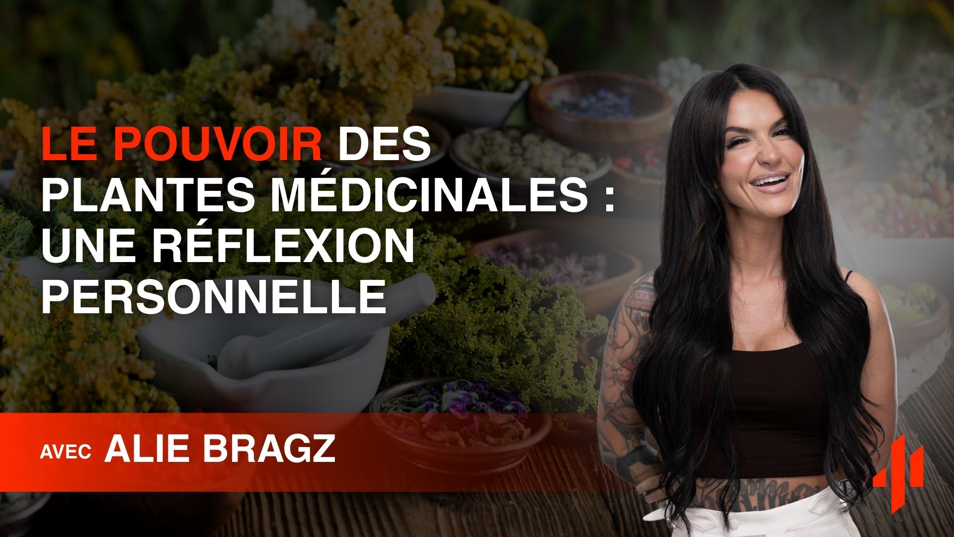 Le Pouvoir des Plantes Médicinales Une Réflexion Personnelle
